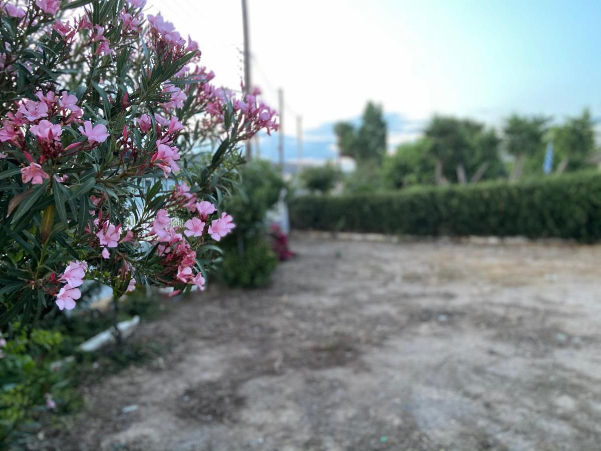 Athens Riviera: 2 Bed / 3' Walk From The Beach Agia Marina  Esterno foto